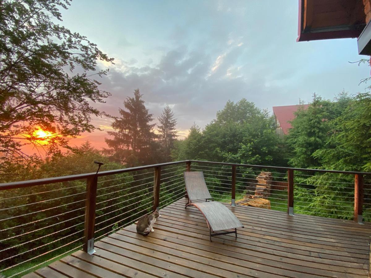 Carpathian Log Case de vacanță *