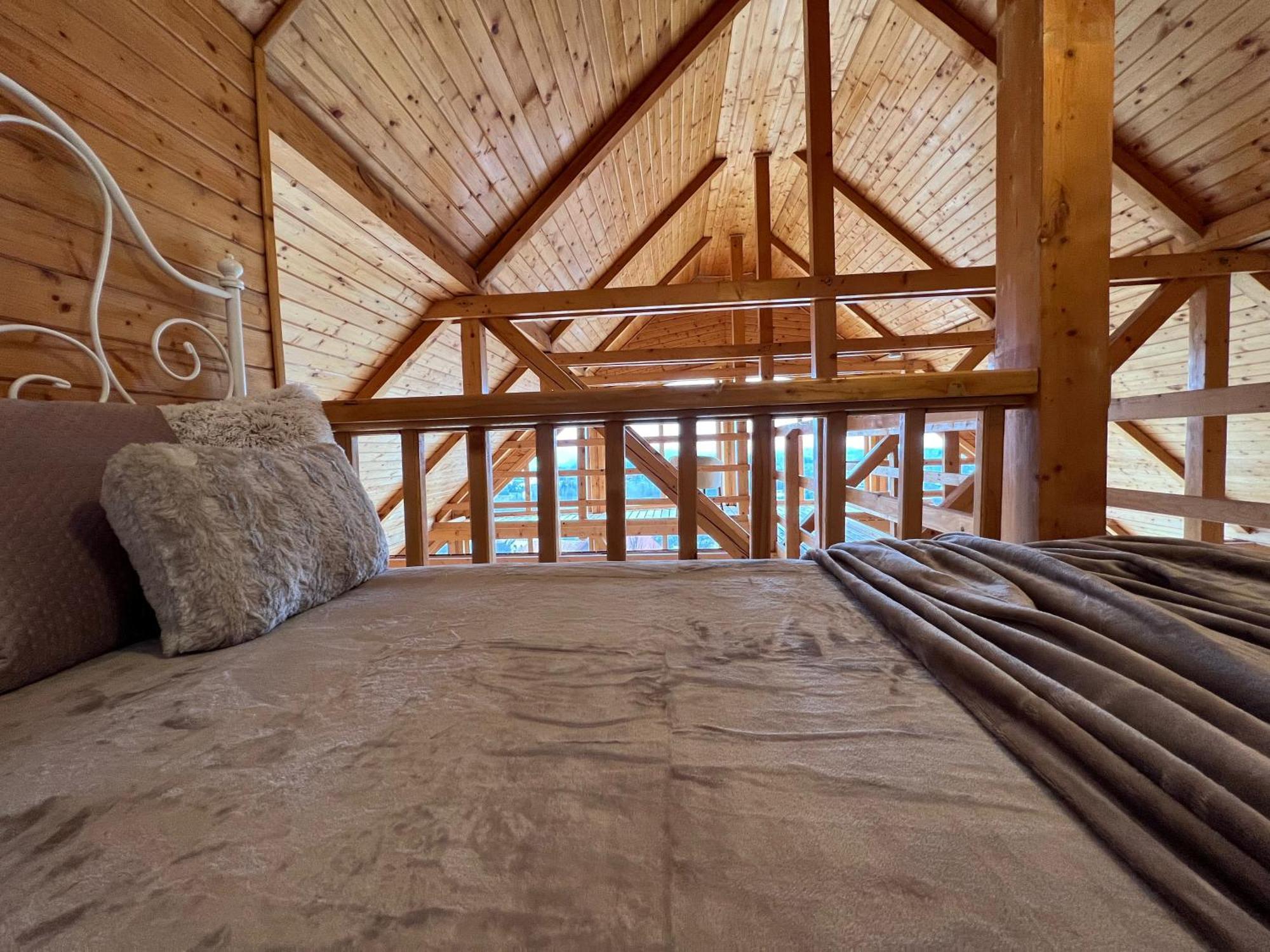 Carpathian Log