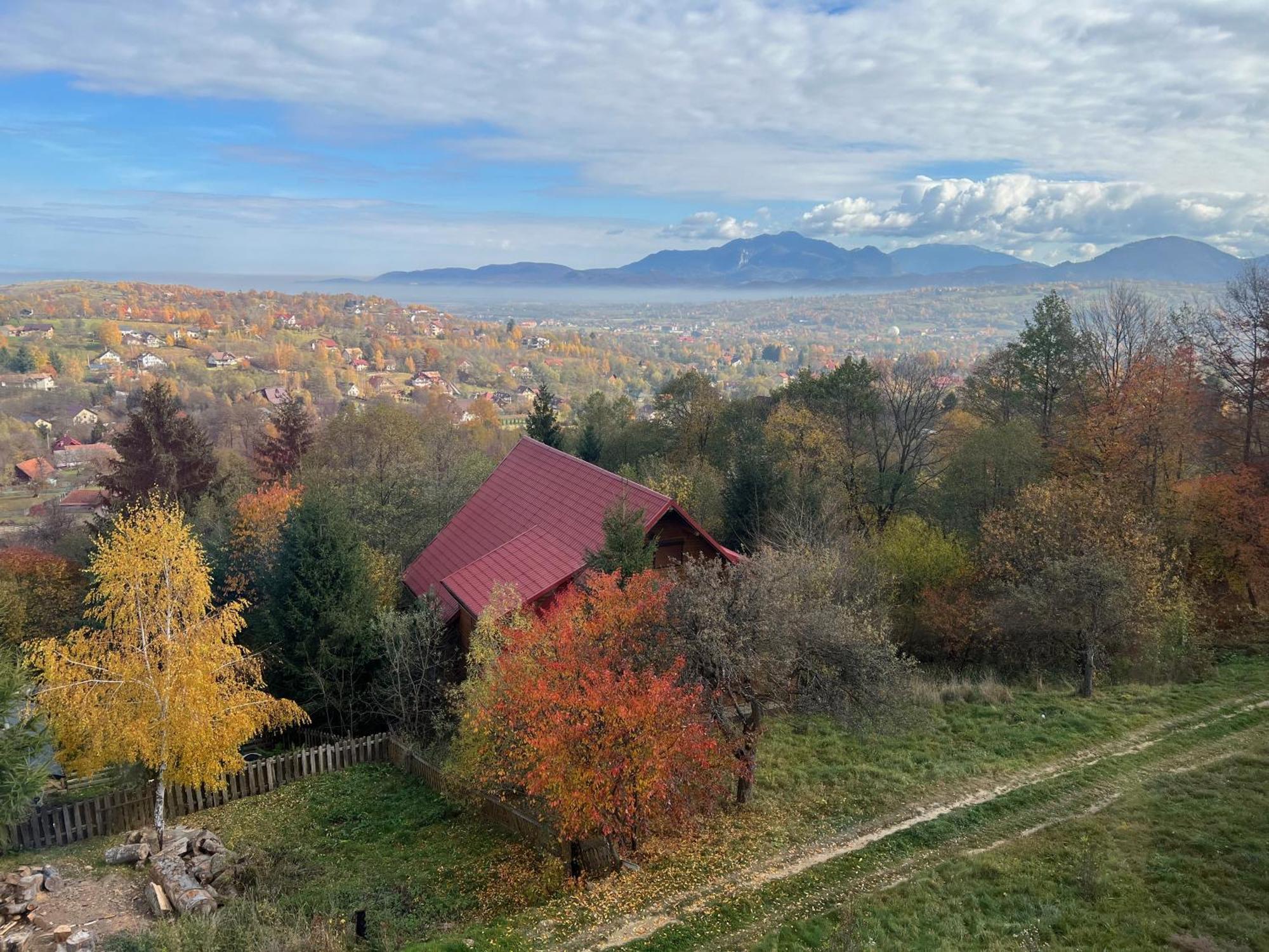 Carpathian Log Bran (Brasov)