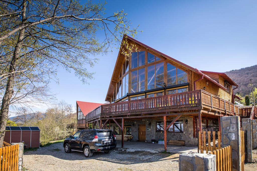 Carpathian Log Case de vacanță *