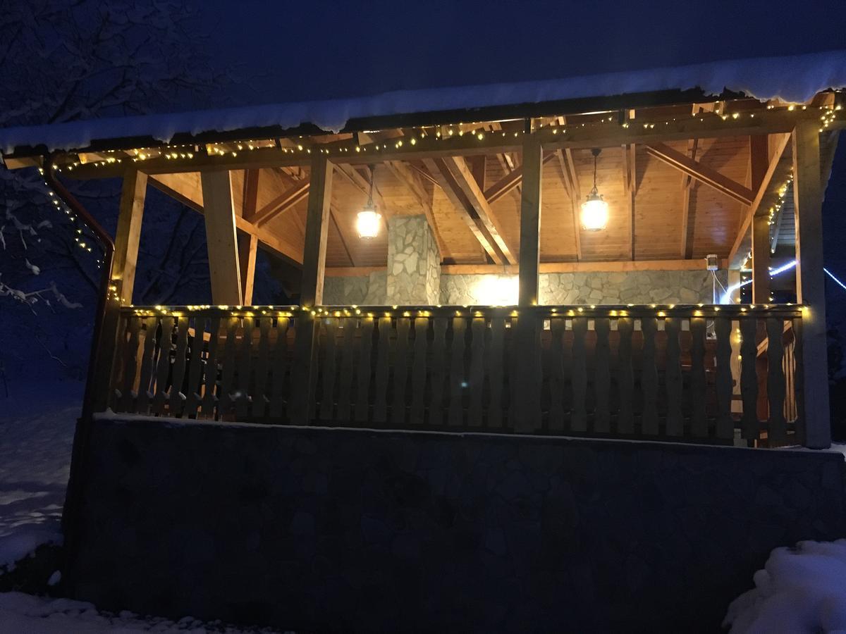 Case de vacanță Carpathian Log